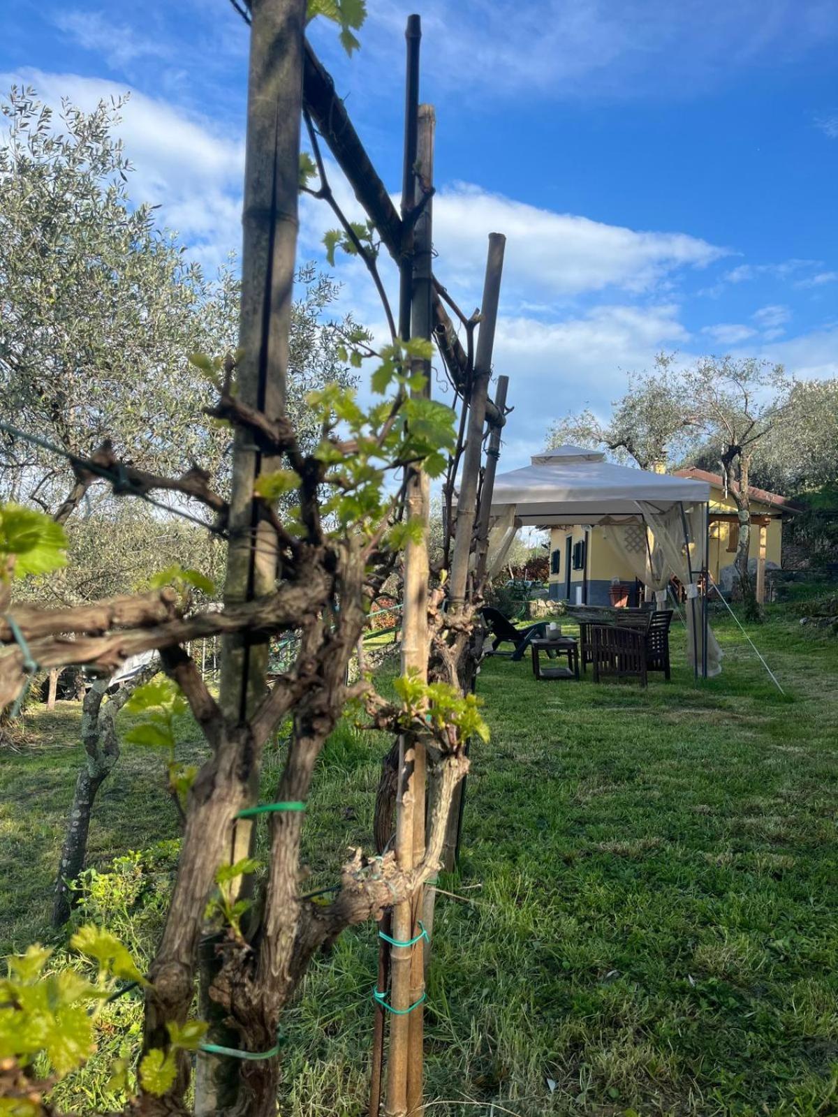 Il Cappero Holiday home